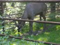 IMGP0792.JPG